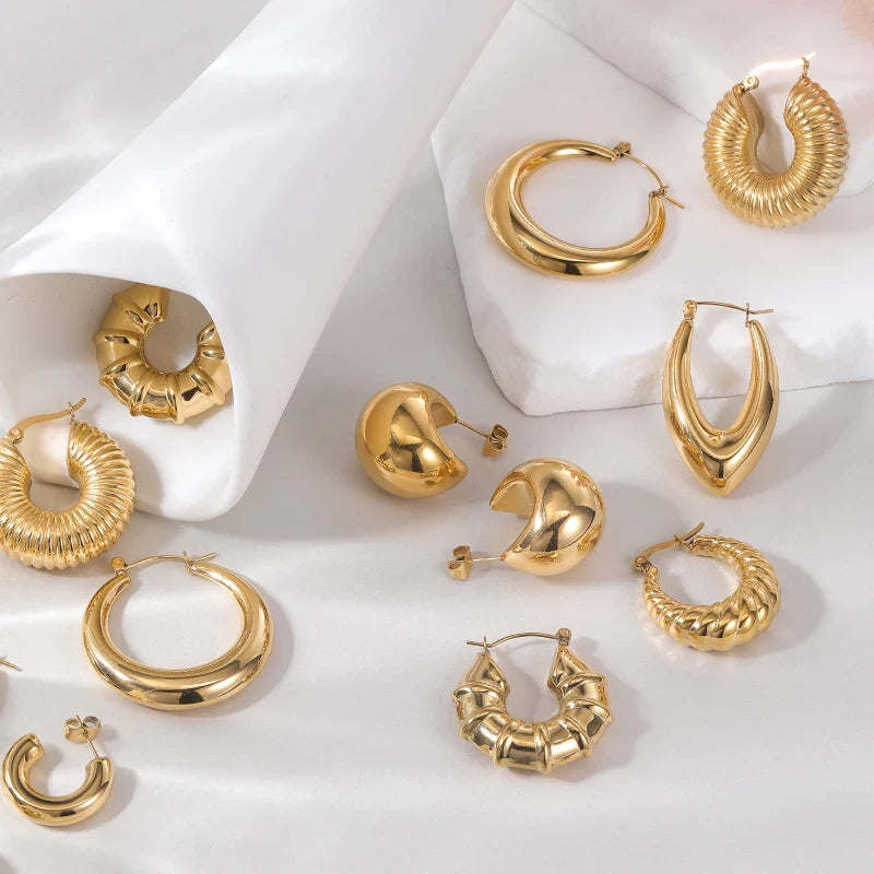 Stainless steel earrings